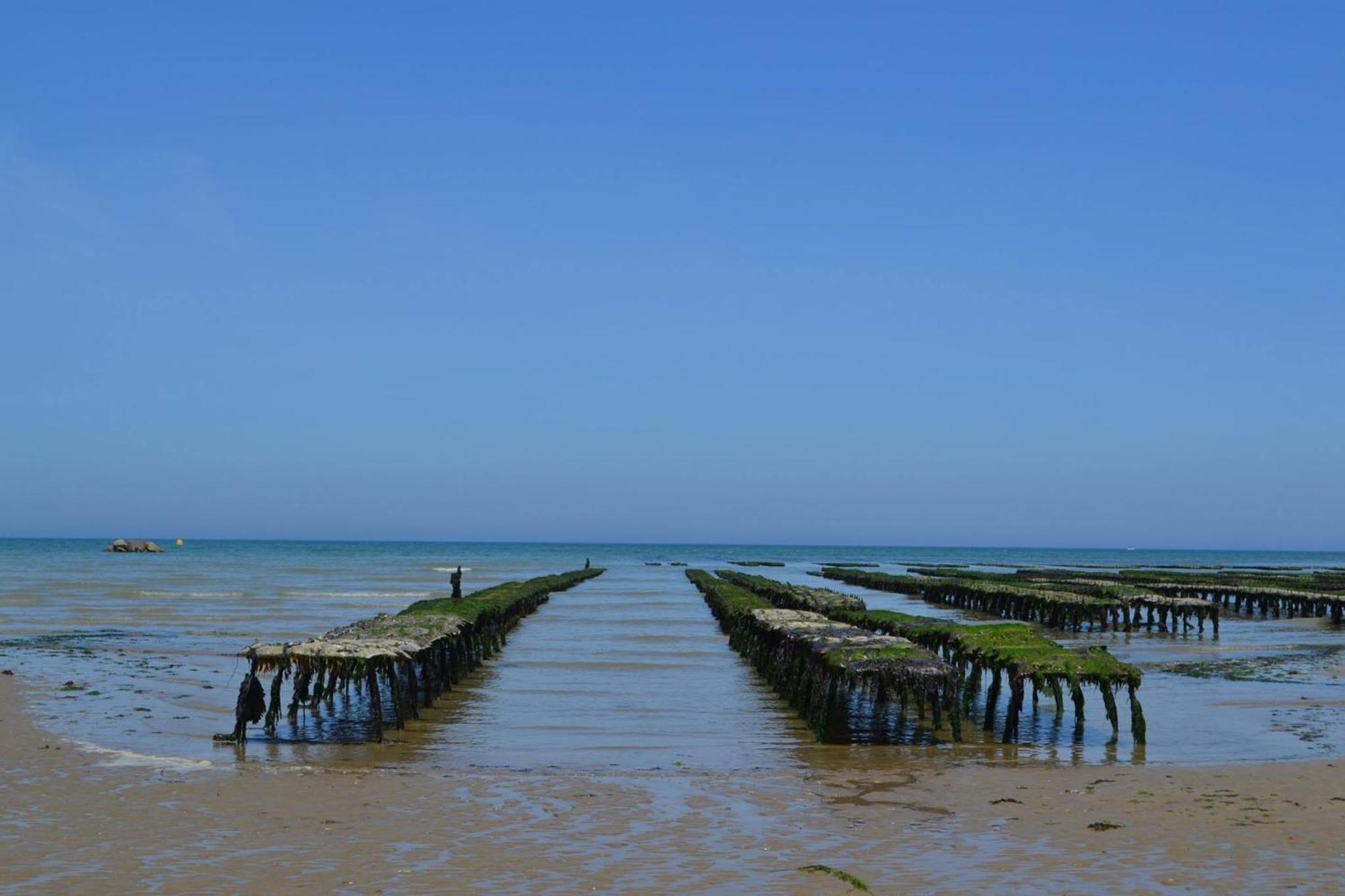 Apt Duplex Ou Plain Pied Tout Confort Plein Centre Ville Bayeux Proche Commerces, Restaurants, Avec Terrasse Privative Ou Jardin Commun Amenage Clos, Parking Gratuit A Proximite, Proche Plages Du Debarquement Buitenkant foto